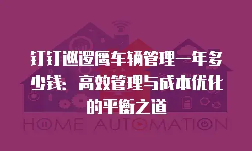 钉钉巡逻鹰车辆管理一年多少钱：高效管理与成本优化的平衡之道