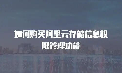 如何购买阿里云存储信息权限管理功能