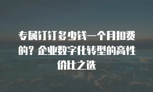 专属钉钉多少钱一个月扣费的？企业数字化转型的高性价比之选
