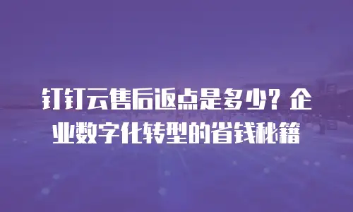 钉钉云售后返点是多少？企业数字化转型的省钱秘籍