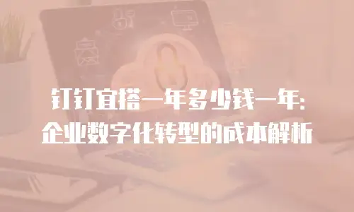 钉钉宜搭一年多少钱一年：企业数字化转型的成本解析