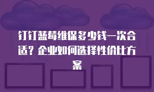 钉钉蓝莓维保多少钱一次合适？企业如何选择性价比方案