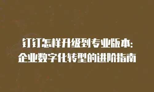 钉钉怎样升级到专业版本：企业数字化转型的进阶指南