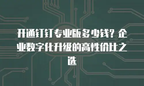开通钉钉专业版多少钱？企业数字化升级的高性价比之选