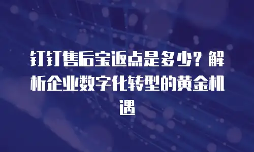 钉钉售后宝返点是多少？解析企业数字化转型的黄金机遇