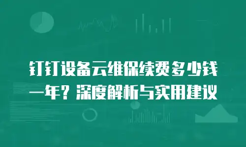 钉钉设备云维保续费多少钱一年？深度解析与实用建议