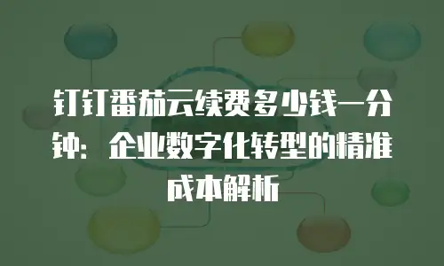 钉钉番茄云续费多少钱一分钟：企业数字化转型的精准成本解析