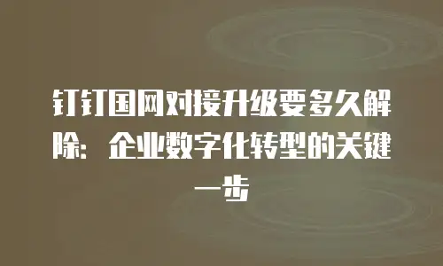 钉钉国网对接升级要多久解除：企业数字化转型的关键一步