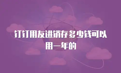 钉钉用友进销存多少钱可以用一年的