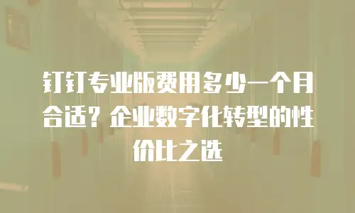 钉钉专业版费用多少一个月合适？企业数字化转型的性价比之选