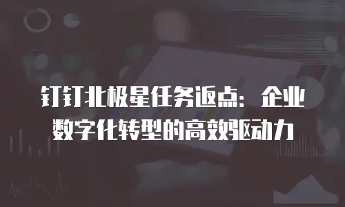 钉钉北极星任务返点：企业数字化转型的高效驱动力