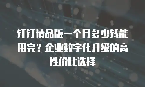 钉钉精品版一个月多少钱能用完？企业数字化升级的高性价比选择