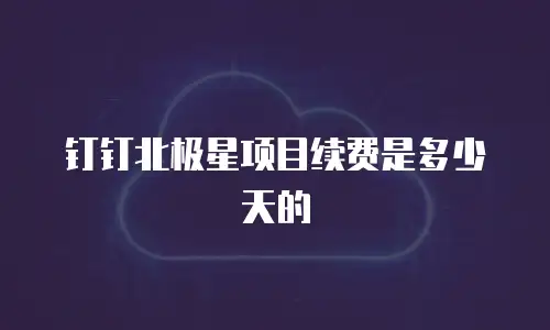 钉钉北极星项目续费是多少天的