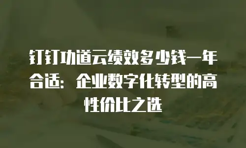 钉钉功道云绩效多少钱一年合适：企业数字化转型的高性价比之选