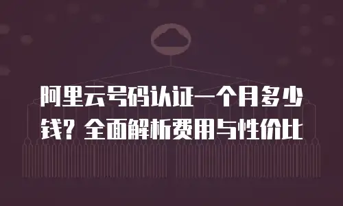 阿里云号码认证一个月多少钱？全面解析费用与性价比