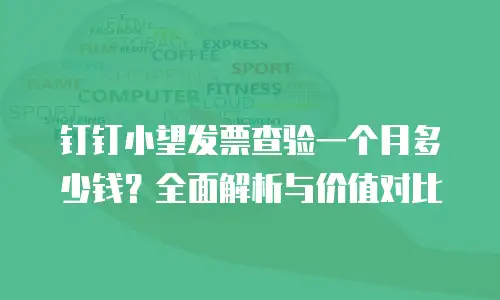 钉钉小望发票查验一个月多少钱？全面解析与价值对比
