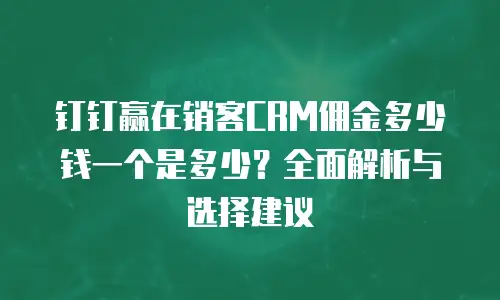钉钉赢在销客CRM佣金多少钱一个是多少？全面解析与选择建议