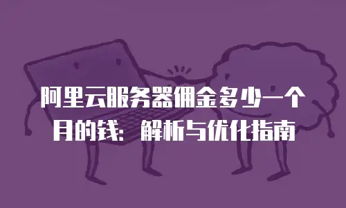 阿里云服务器佣金多少一个月的钱：解析与优化指南