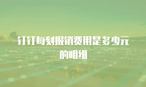 钉钉每刻报销费用是多少元的明细