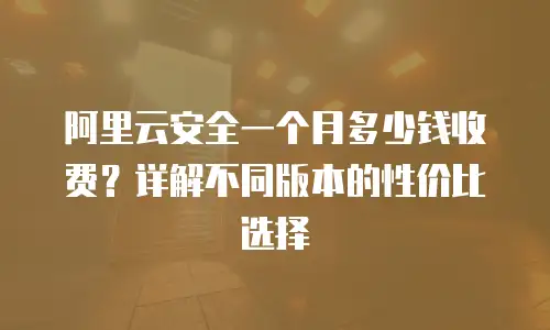 阿里云安全一个月多少钱收费？详解不同版本的性价比选择