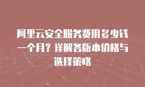 阿里云安全服务费用多少钱一个月？详解各版本价格与选择策略