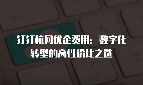 钉钉杭网优企费用：数字化转型的高性价比之选
