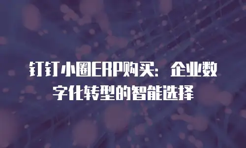 钉钉小圈ERP购买：企业数字化转型的智能选择