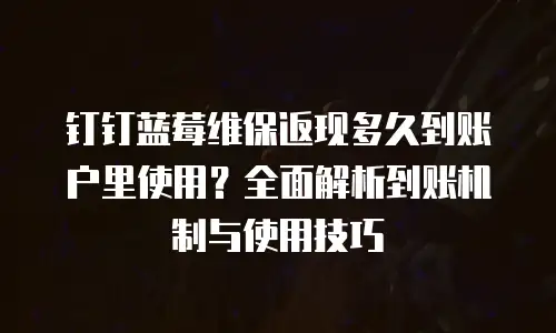 钉钉蓝莓维保返现多久到账户里使用？全面解析到账机制与使用技巧