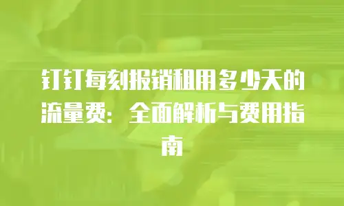 钉钉每刻报销租用多少天的流量费：全面解析与费用指南