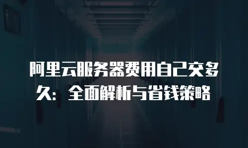 阿里云服务器费用自己交多久：全面解析与省钱策略
