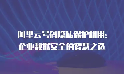 阿里云号码隐私保护租用：企业数据安全的智慧之选