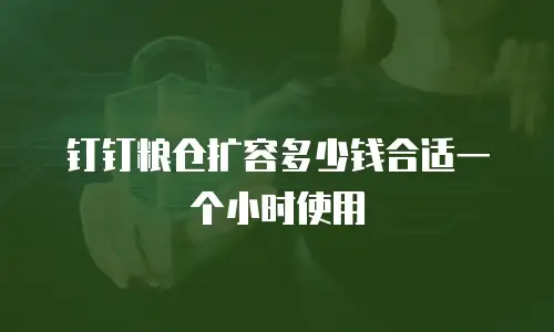 钉钉粮仓扩容多少钱合适一个小时使用