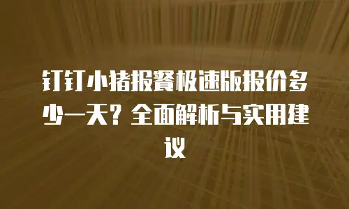钉钉小猪报餐极速版报价多少一天？全面解析与实用建议