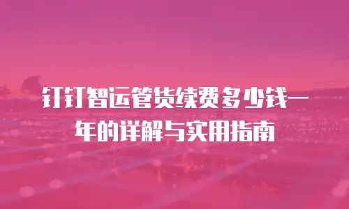 钉钉智运管货续费多少钱一年的详解与实用指南