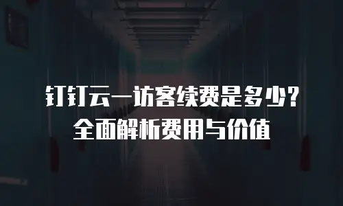 钉钉云一访客续费是多少？全面解析费用与价值