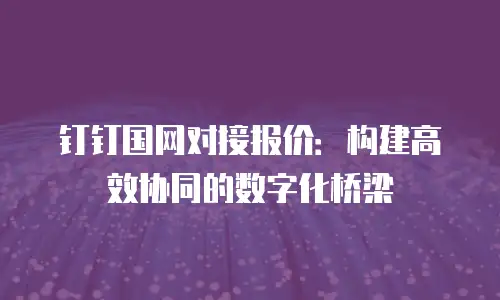 钉钉国网对接报价：构建高效协同的数字化桥梁