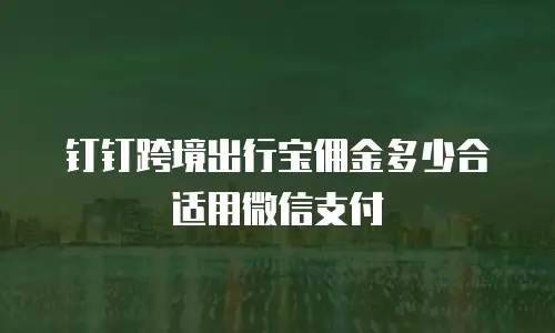 钉钉跨境出行宝佣金多少合适用微信支付