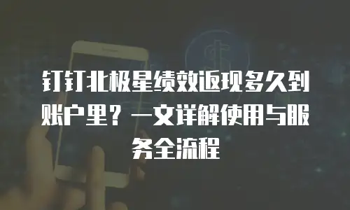 钉钉北极星绩效返现多久到账户里？一文详解使用与服务全流程
