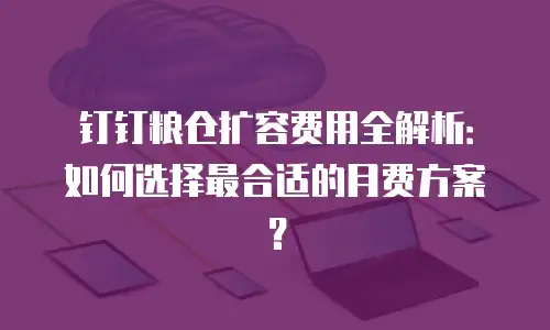 钉钉粮仓扩容费用全解析：如何选择最合适的月费方案？