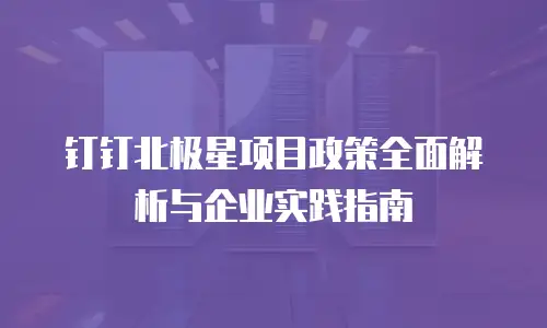 钉钉北极星项目政策全面解析与企业实践指南
