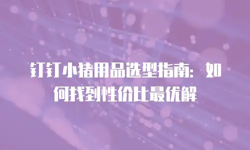 钉钉小猪用品选型指南：如何找到性价比最优解