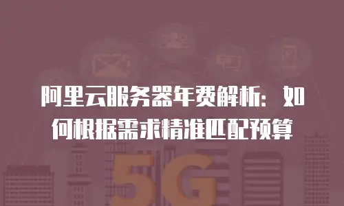 阿里云服务器年费解析：如何根据需求精准匹配预算