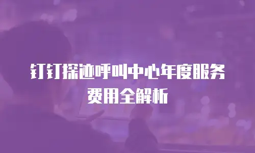 钉钉探迹呼叫中心年度服务费用全解析