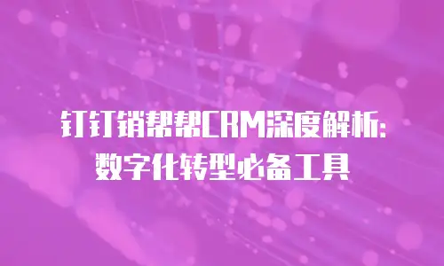 钉钉销帮帮CRM深度解析：数字化转型必备工具