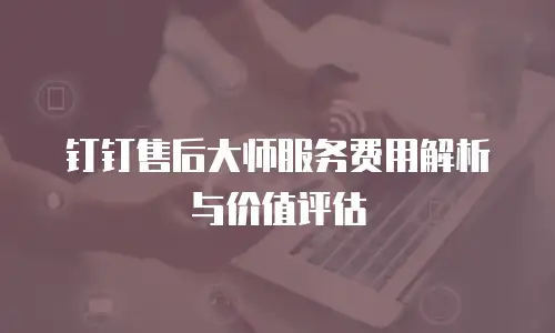 钉钉售后大师服务费用解析与价值评估