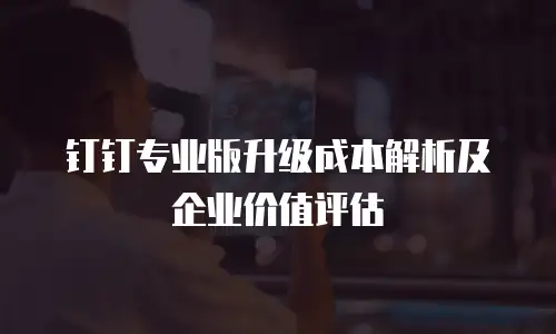 钉钉专业版升级成本解析及企业价值评估