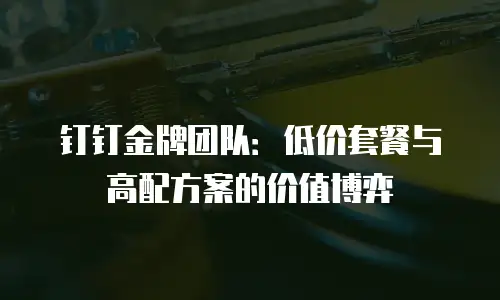钉钉金牌团队：低价套餐与高配方案的价值博弈