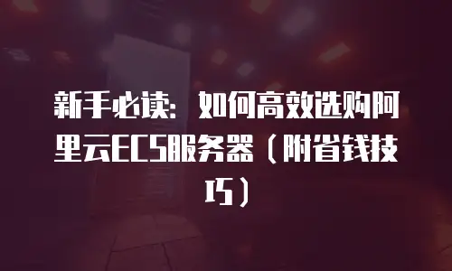 新手必读：如何高效选购阿里云ECS服务器（附省钱技巧）