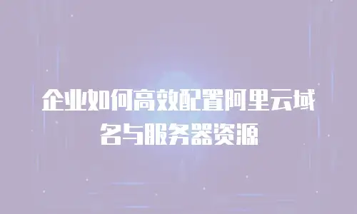 企业如何高效配置阿里云域名与服务器资源