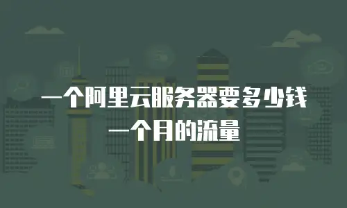 一个阿里云服务器要多少钱一个月的流量